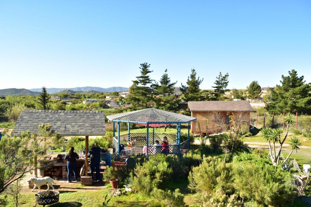 Bajo El Sol Del Valle Valle de Guadalupe Exterior foto